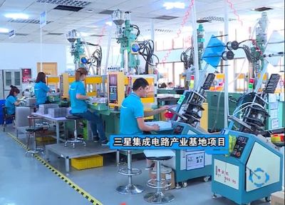 市領導調研文登，走訪家電企業共話發展